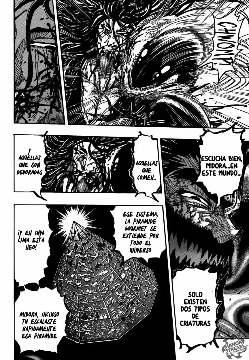Toriko (2008) - Capítulo 390 - Página 11 - LectorTMOo