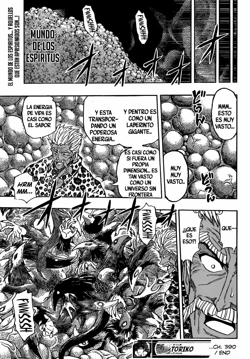 Toriko (2008) - Capítulo 390 - Página 20 - LectorTMOo