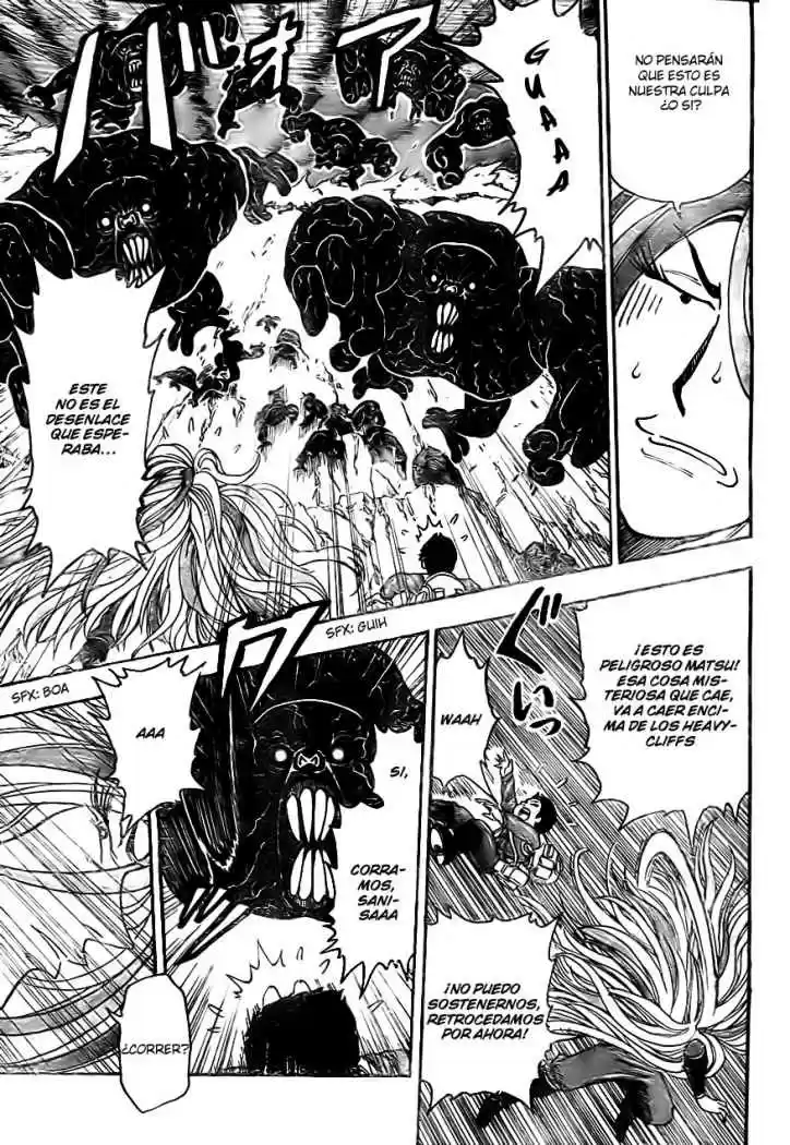 Toriko (2008) - Capítulo 40 - Página 5 - LectorTMOo