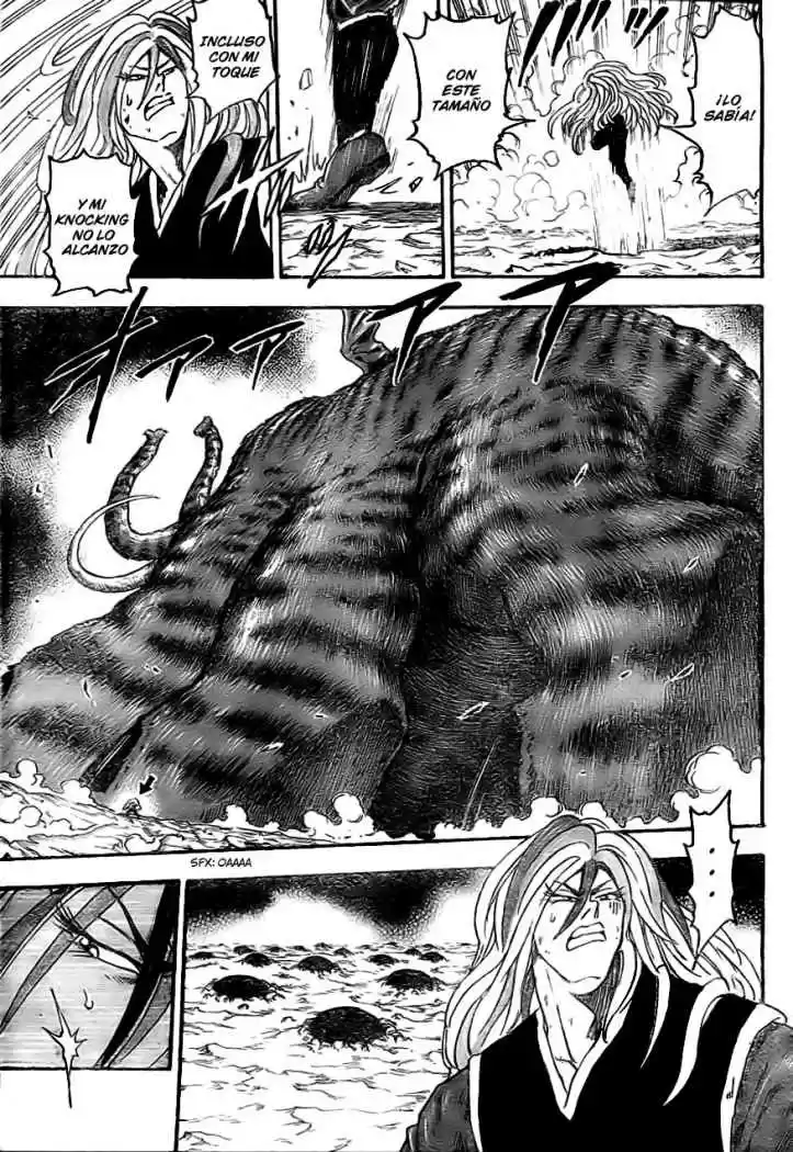 Toriko (2008) - Capítulo 40 - Página 15 - LectorTMOo