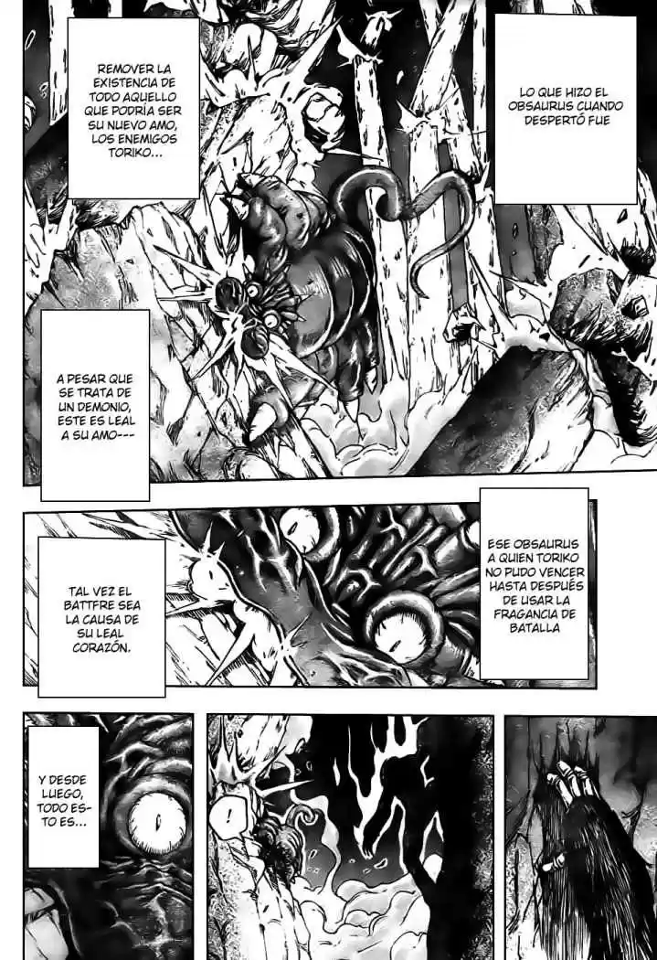 Toriko (2008) - Capítulo 41 - Página 4 - LectorTMOo