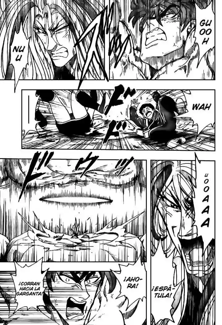 Toriko (2008) - Capítulo 42 - Página 15 - LectorTMOo