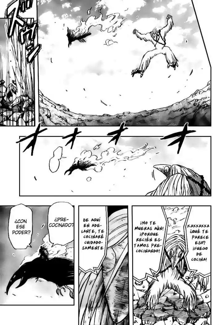 Toriko (2008) - Capítulo 42 - Página 17 - LectorTMOo