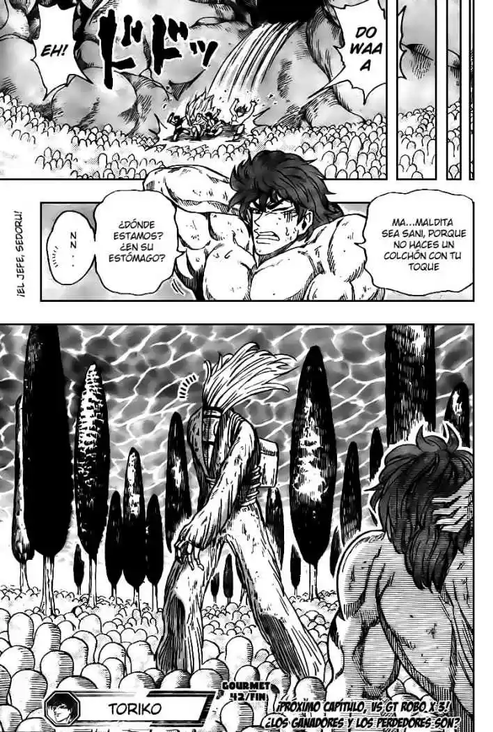 Toriko (2008) - Capítulo 42 - Página 19 - LectorTMOo
