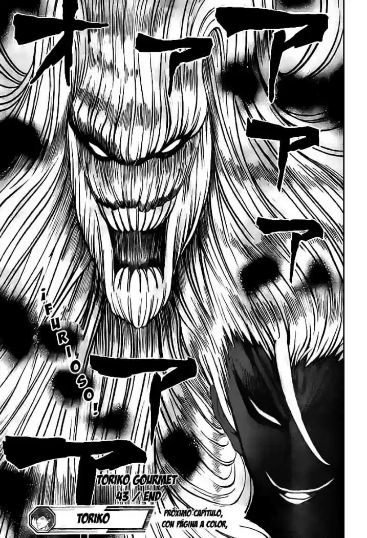 Toriko (2008) - Capítulo 43 - Página 18 - LectorTMOo