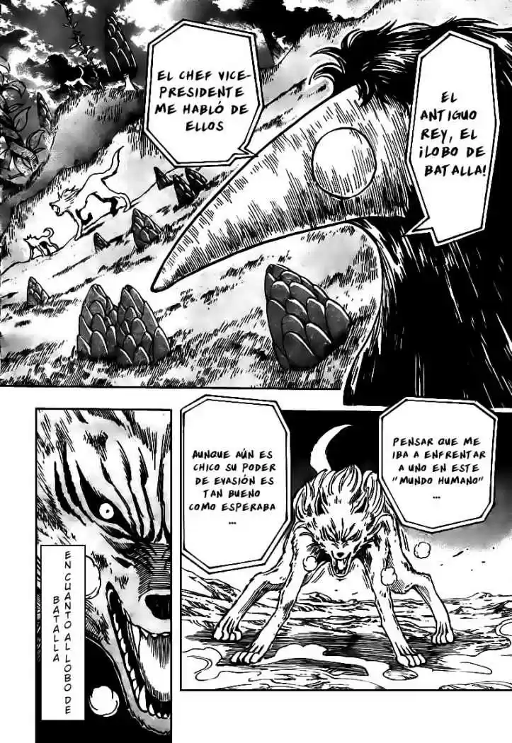Toriko (2008) - Capítulo 44 - Página 5 - LectorTMOo