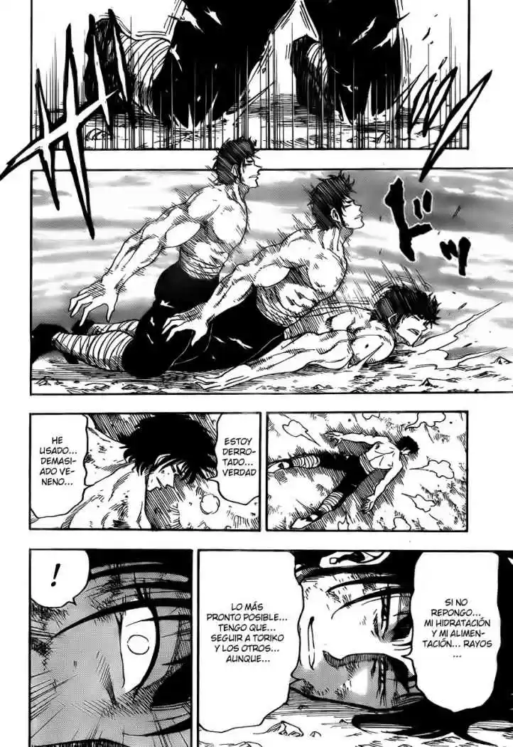 Toriko (2008) - Capítulo 45 - Página 18 - LectorTMOo