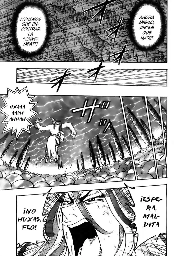 Toriko (2008) - Capítulo 46 - Página 11 - LectorTMOo