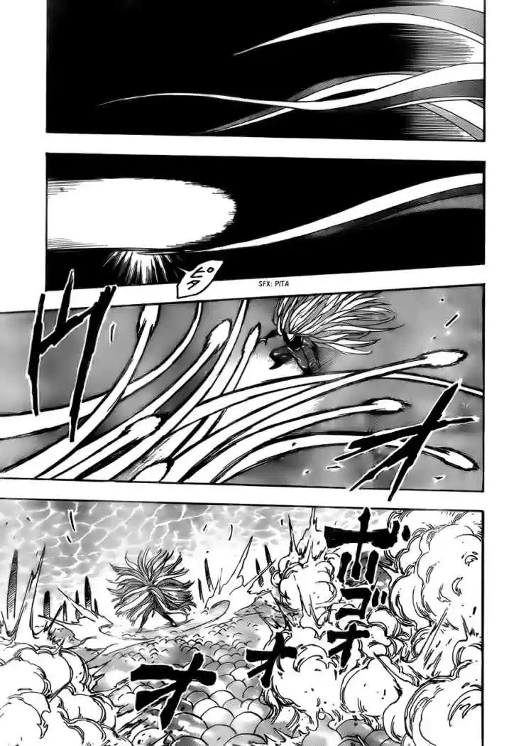 Toriko (2008) - Capítulo 46 - Página 13 - LectorTMOo