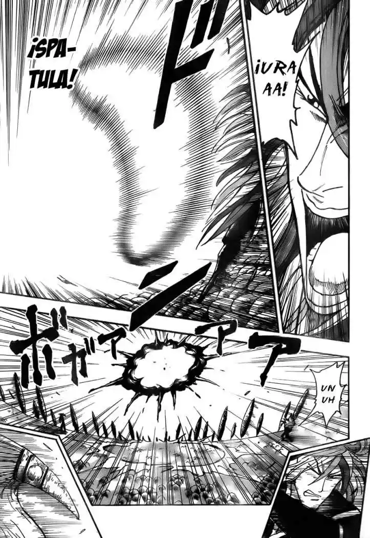 Toriko (2008) - Capítulo 46 - Página 15 - LectorTMOo