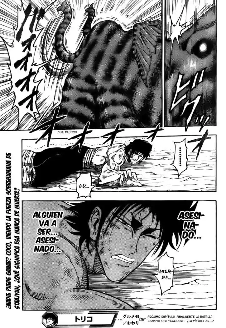 Toriko (2008) - Capítulo 46 - Página 19 - LectorTMOo