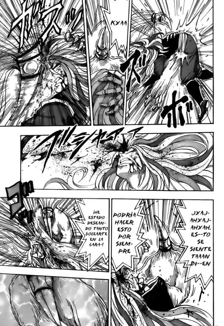 Toriko (2008) - Capítulo 47 - Página 14 - LectorTMOo