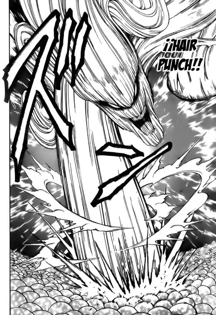 Toriko (2008) - Capítulo 47 - Página 17 - LectorTMOo