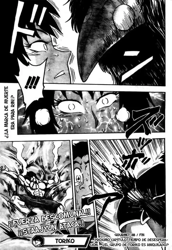 Toriko (2008) - Capítulo 48 - Página 18 - LectorTMOo