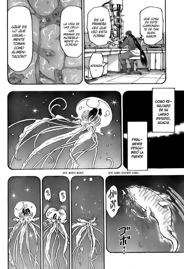 Toriko (2008) - Capítulo 50 - Página 4 - LectorTMOo
