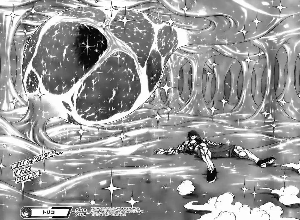 Toriko (2008) - Capítulo 50 - Página 17 - LectorTMOo
