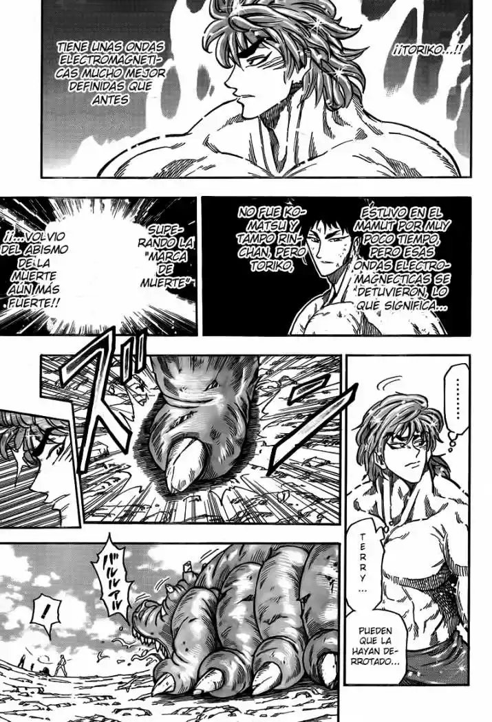 Toriko (2008) - Capítulo 53 - Página 15 - LectorTMOo