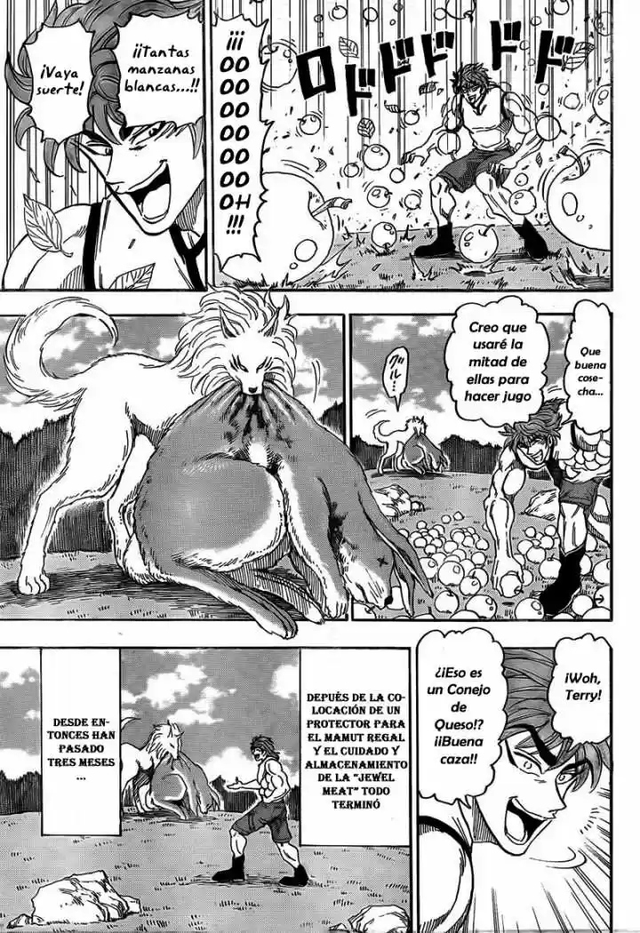Toriko (2008) - Capítulo 55 - Página 9 - LectorTMOo