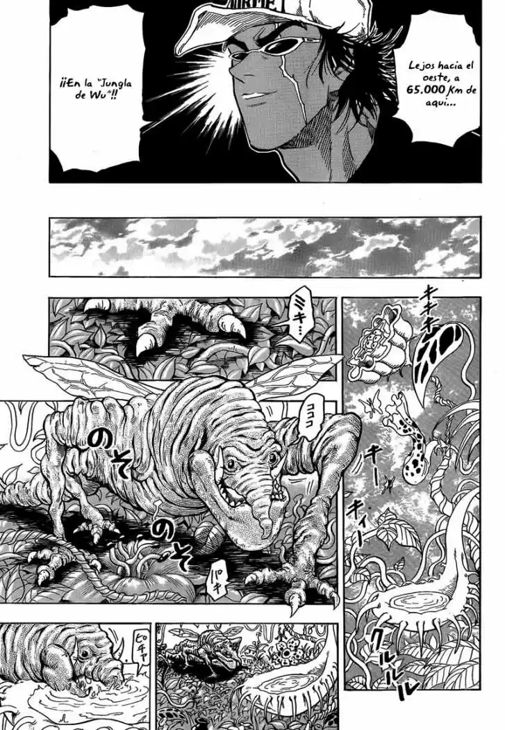 Toriko (2008) - Capítulo 55 - Página 17 - LectorTMOo