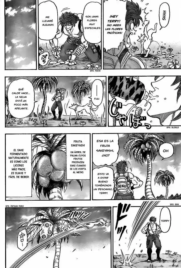 Toriko (2008) - Capítulo 56 - Página 5 - LectorTMOo