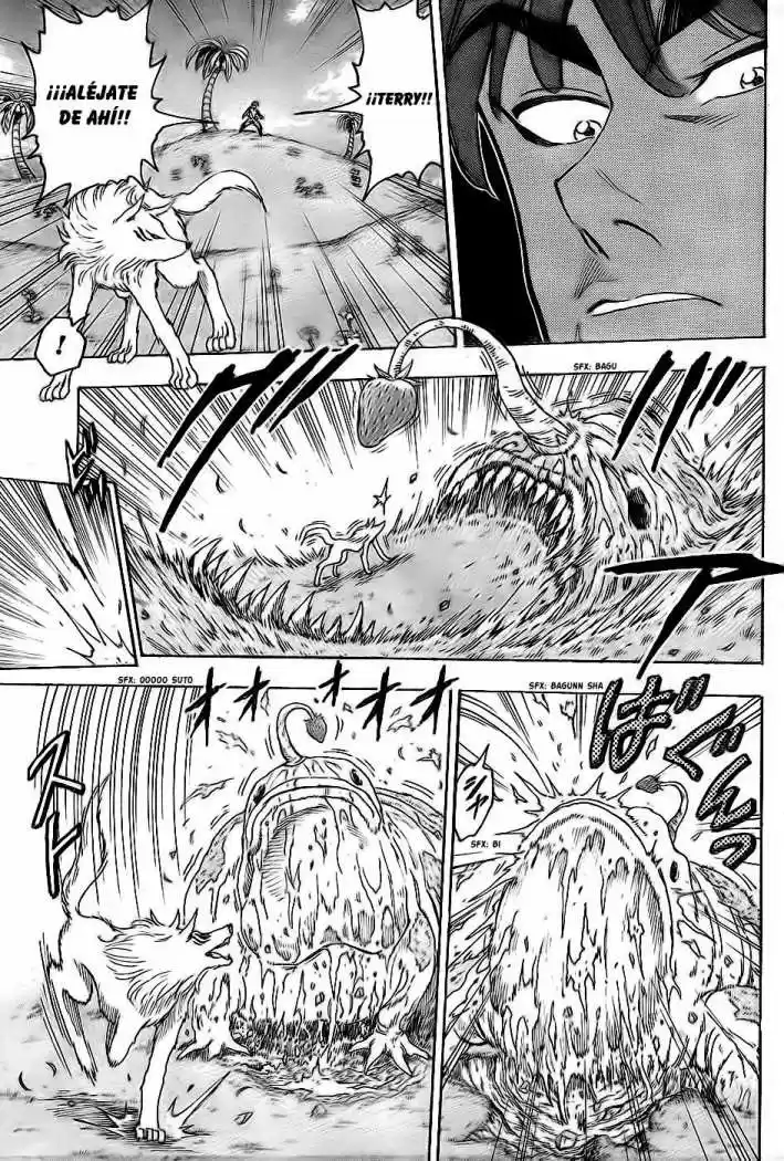 Toriko (2008) - Capítulo 56 - Página 8 - LectorTMOo
