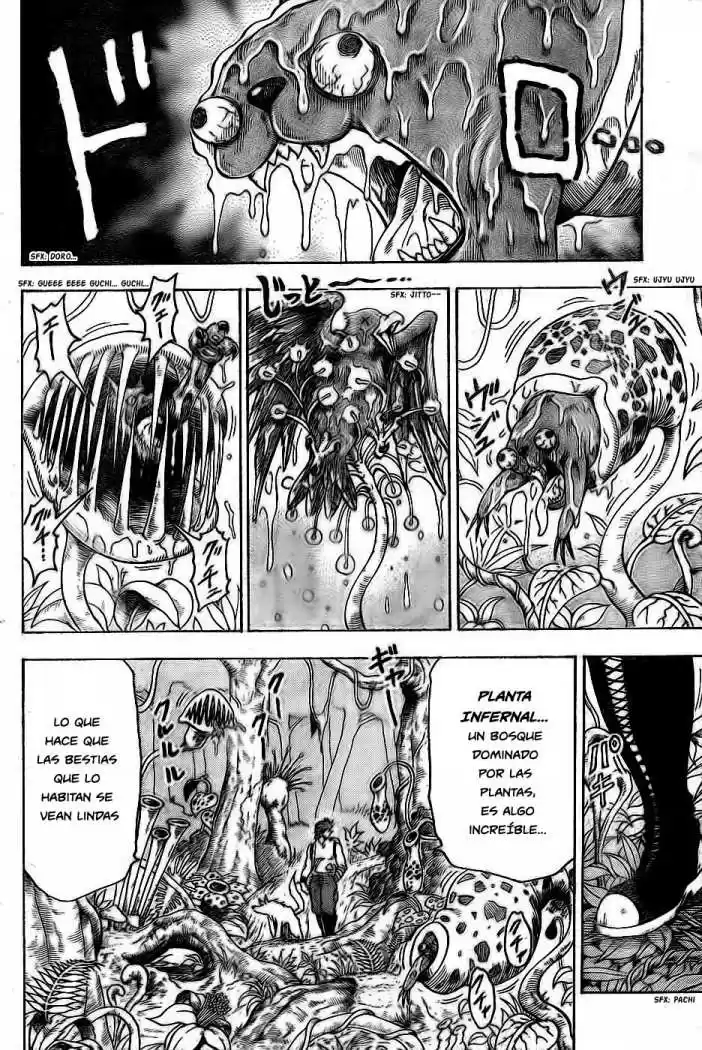 Toriko (2008) - Capítulo 56 - Página 13 - LectorTMOo