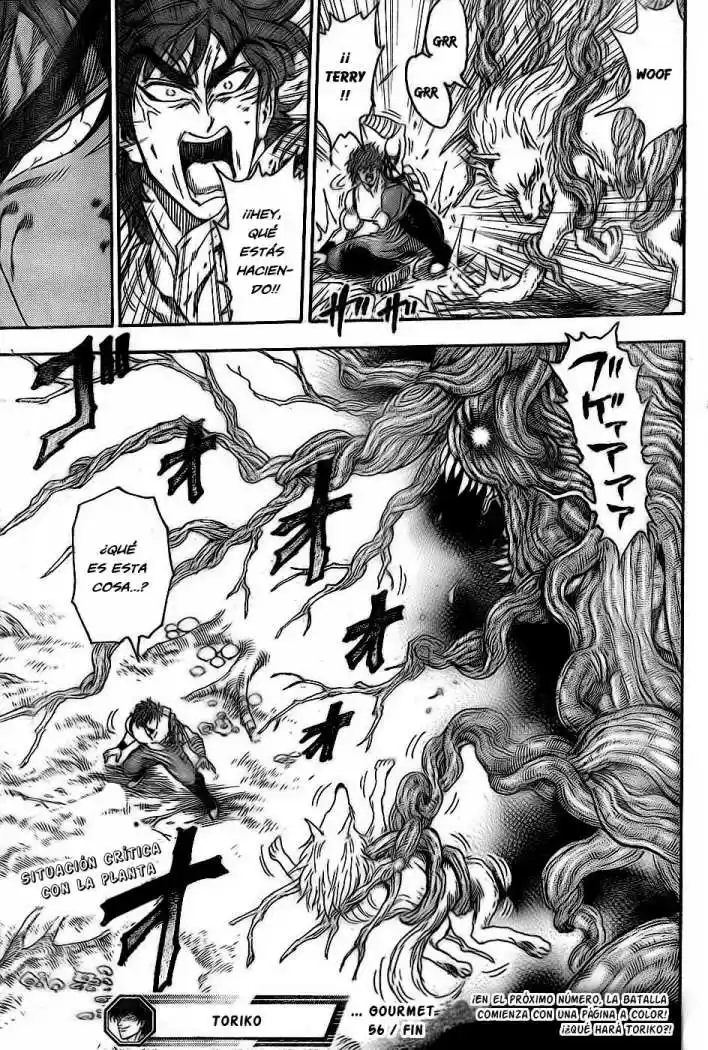 Toriko (2008) - Capítulo 56 - Página 17 - LectorTMOo