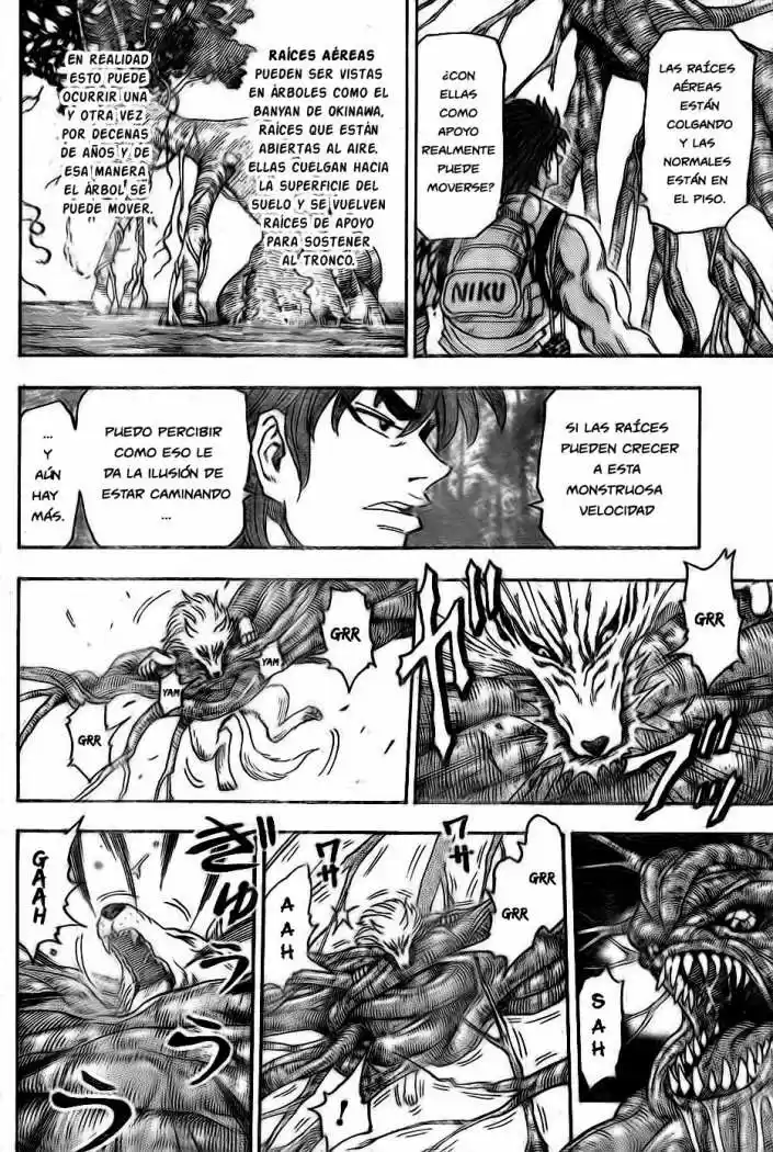 Toriko (2008) - Capítulo 57 - Página 4 - LectorTMOo