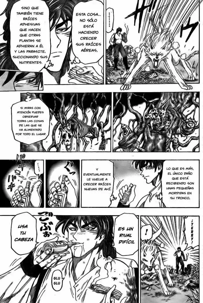 Toriko (2008) - Capítulo 57 - Página 9 - LectorTMOo