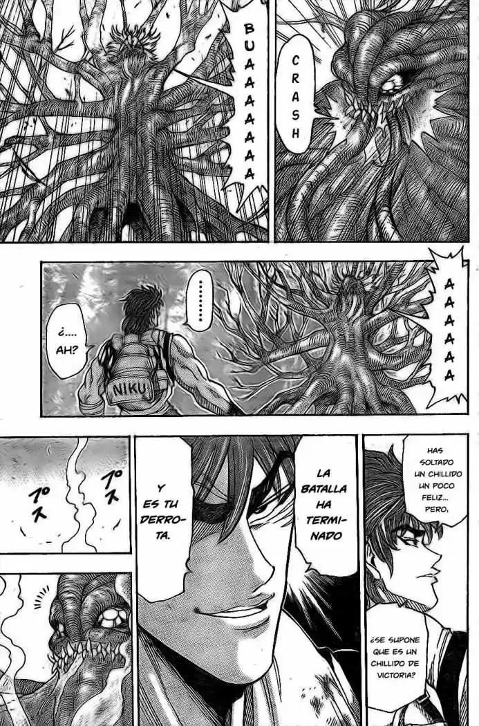 Toriko (2008) - Capítulo 57 - Página 15 - LectorTMOo