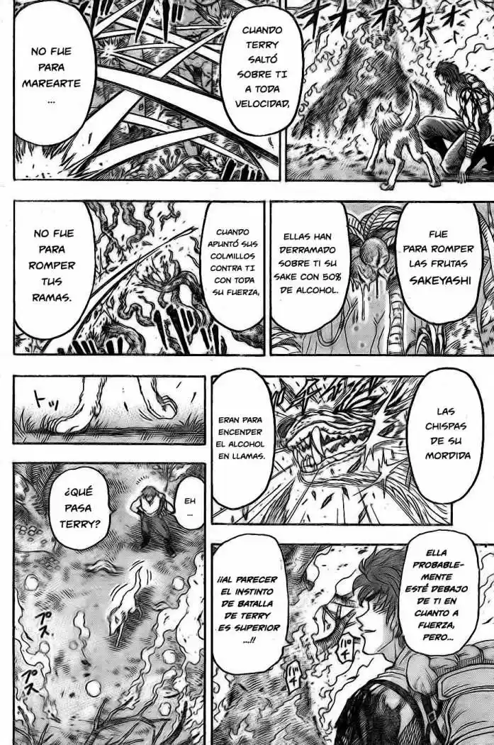 Toriko (2008) - Capítulo 57 - Página 18 - LectorTMOo