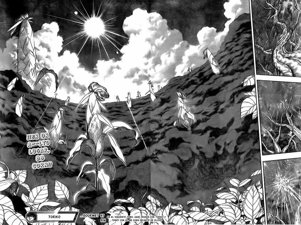 Toriko (2008) - Capítulo 57 - Página 20 - LectorTMOo