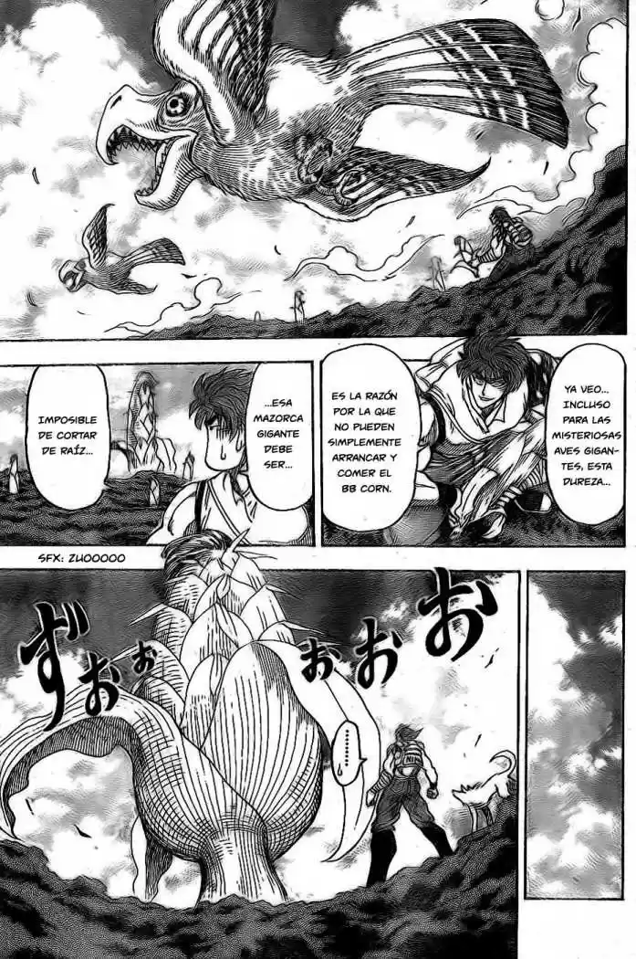 Toriko (2008) - Capítulo 58 - Página 7 - LectorTMOo