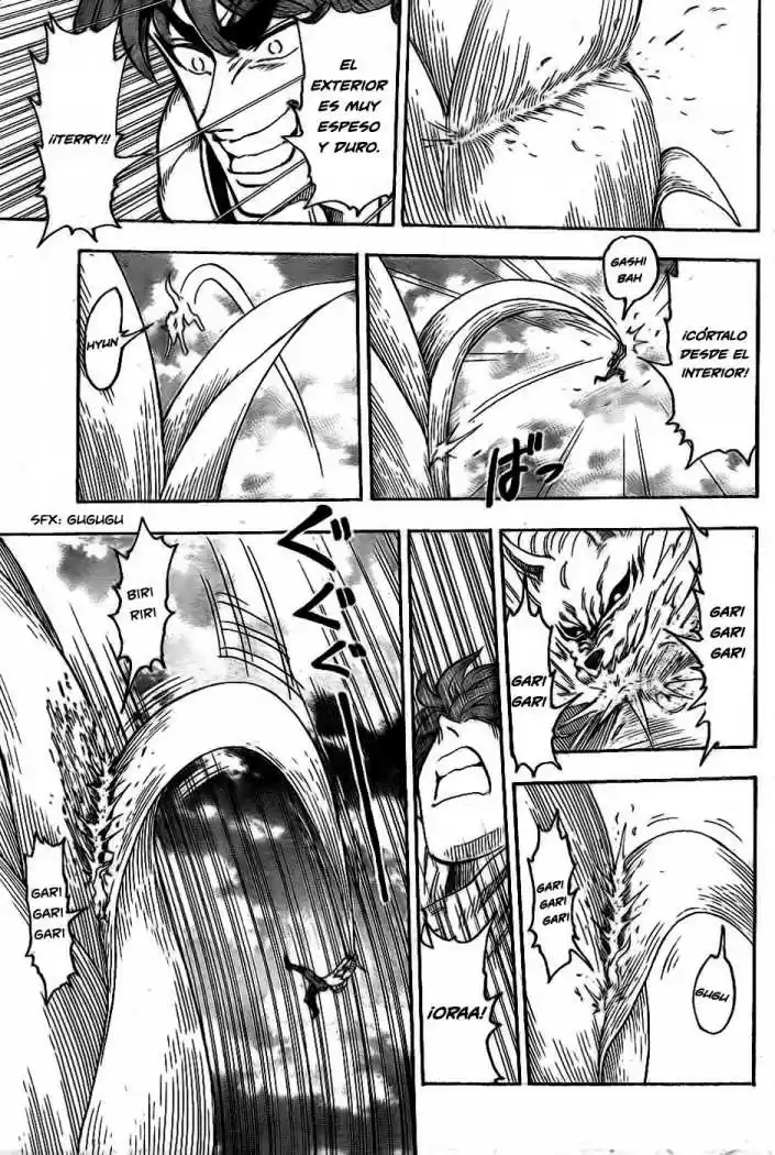 Toriko (2008) - Capítulo 58 - Página 9 - LectorTMOo
