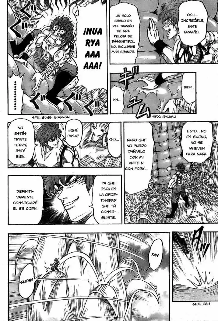 Toriko (2008) - Capítulo 58 - Página 12 - LectorTMOo