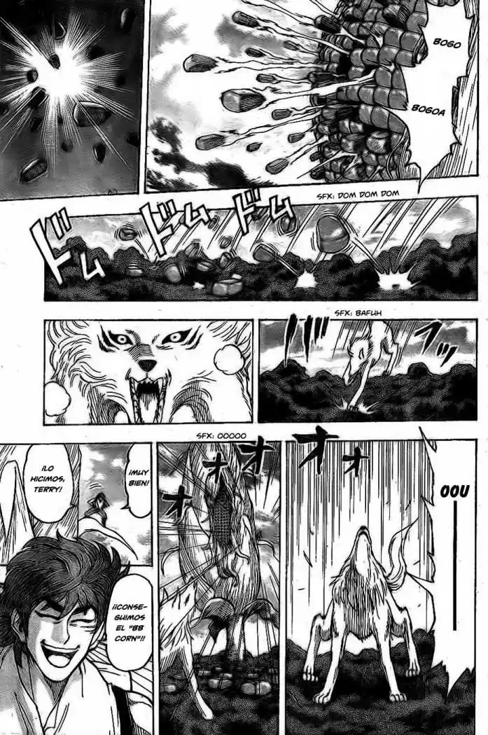 Toriko (2008) - Capítulo 58 - Página 15 - LectorTMOo