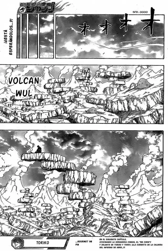 Toriko (2008) - Capítulo 58 - Página 19 - LectorTMOo