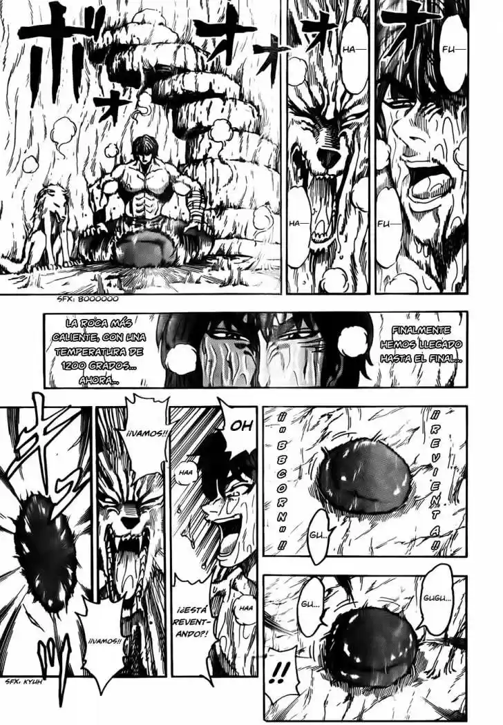 Toriko (2008) - Capítulo 59 - Página 9 - LectorTMOo
