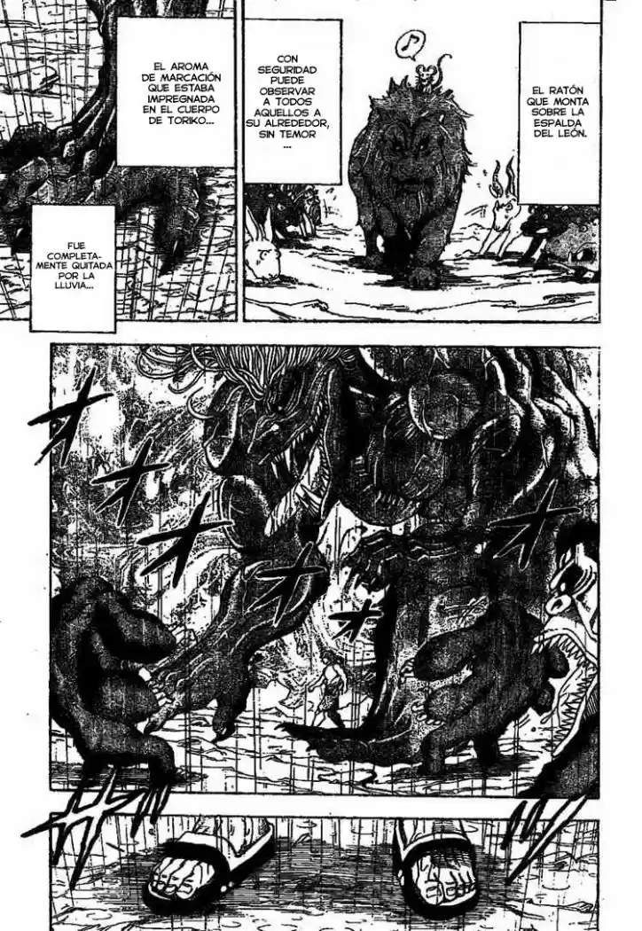 Toriko (2008) - Capítulo 6 - Página 16 - LectorTMOo