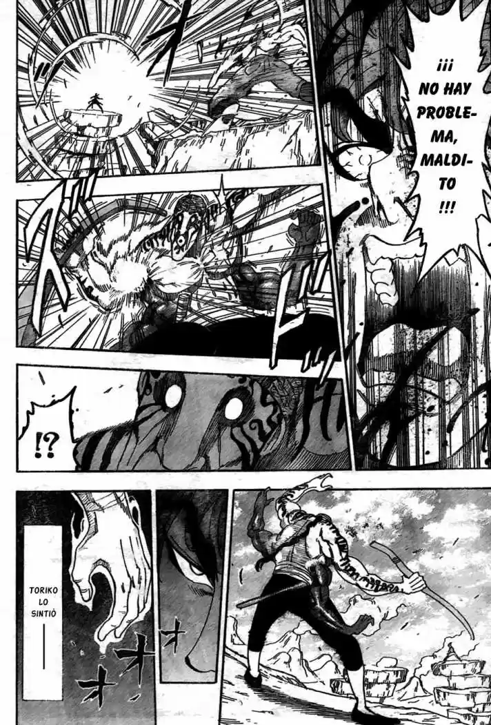 Toriko (2008) - Capítulo 61 - Página 14 - LectorTMOo