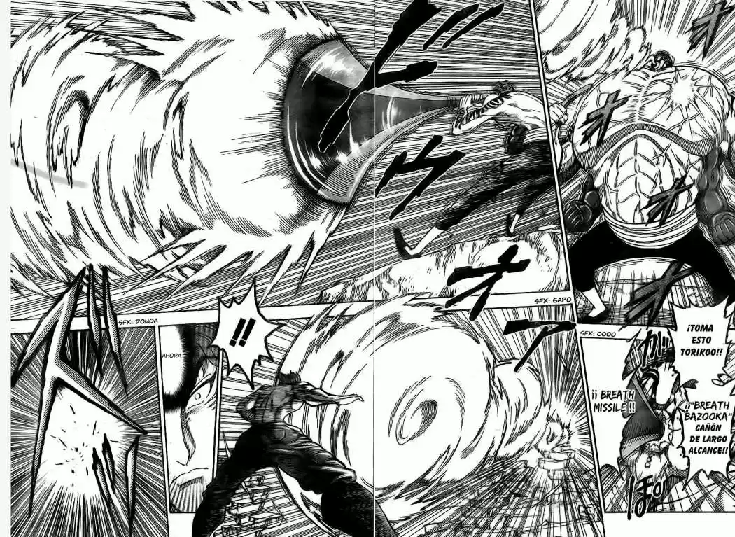 Toriko (2008) - Capítulo 62 - Página 8 - LectorTMOo