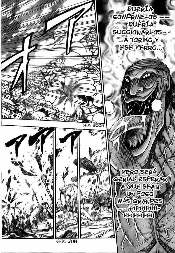 Toriko (2008) - Capítulo 62 - Página 17 - LectorTMOo