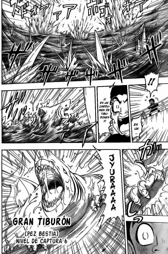 Toriko (2008) - Capítulo 69 - Página 9 - LectorTMOo