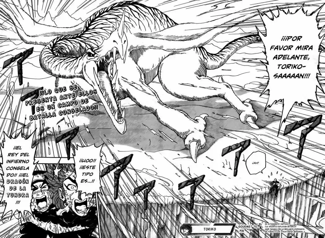 Toriko (2008) - Capítulo 70 - Página 17 - LectorTMOo