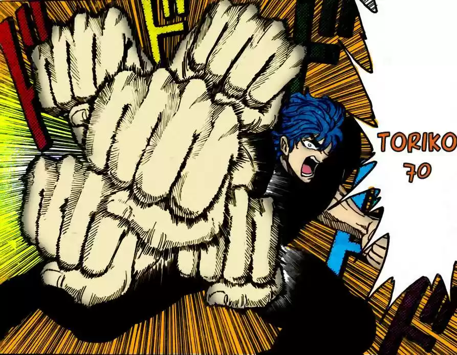 Toriko (2008) - Capítulo 70 - Página 19 - LectorTMOo