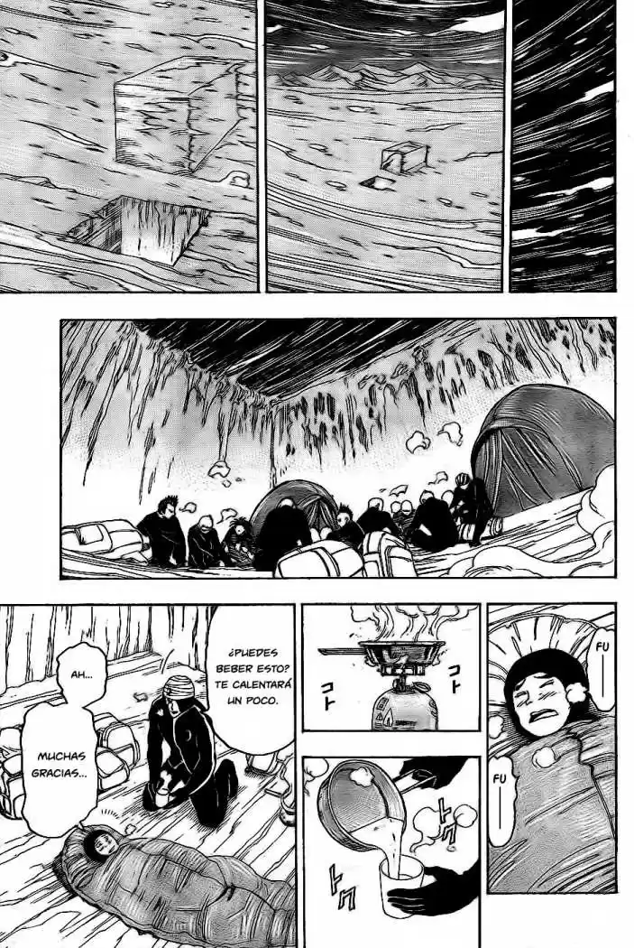 Toriko (2008) - Capítulo 71 - Página 13 - LectorTMOo