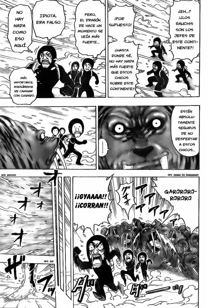 Toriko (2008) - Capítulo 72 - Página 5 - LectorTMOo