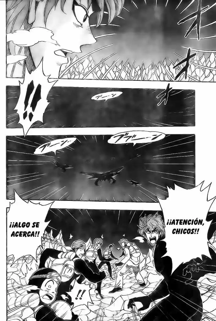 Toriko (2008) - Capítulo 75 - Página 15 - LectorTMOo