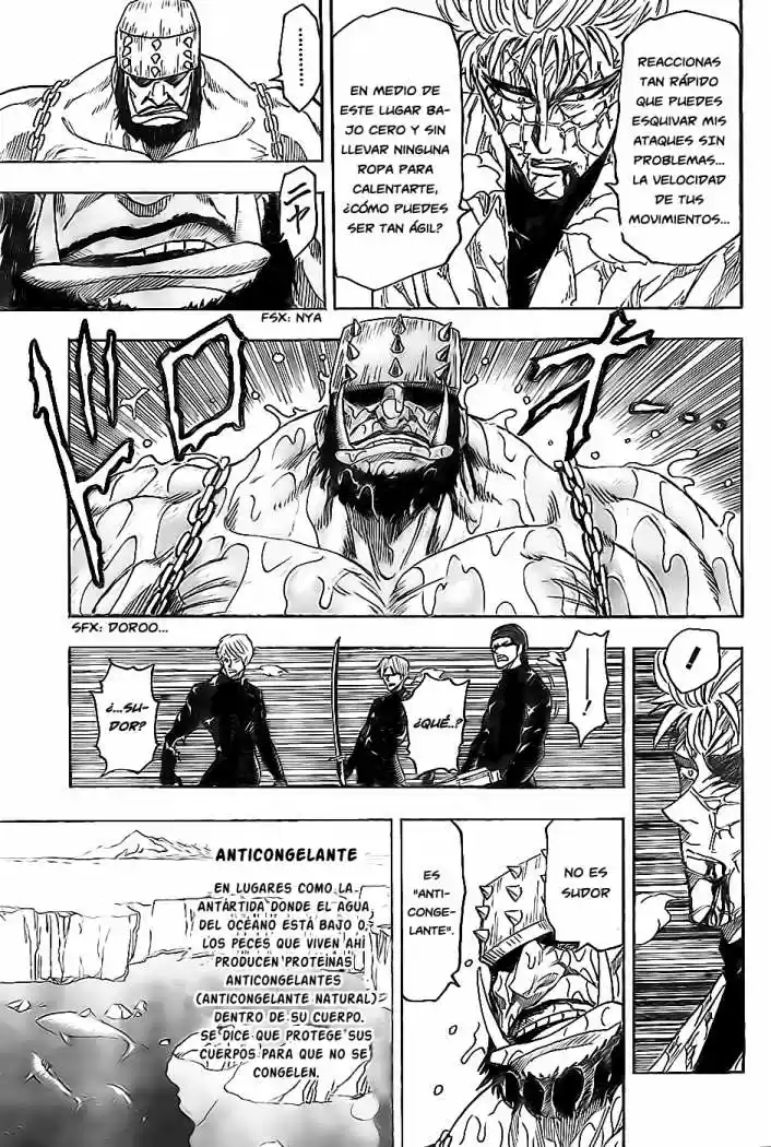Toriko (2008) - Capítulo 81 - Página 13 - LectorTMOo