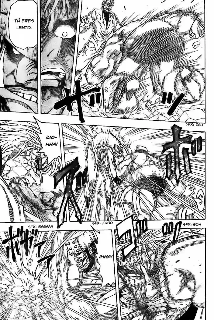 Toriko (2008) - Capítulo 81 - Página 15 - LectorTMOo